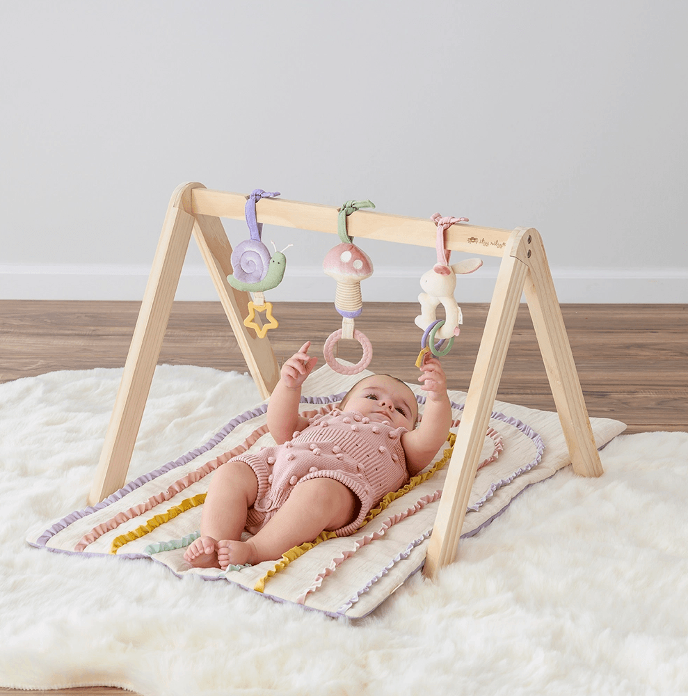 Activity Gym (Pastel) baby essentials Maple & Co. Boutique