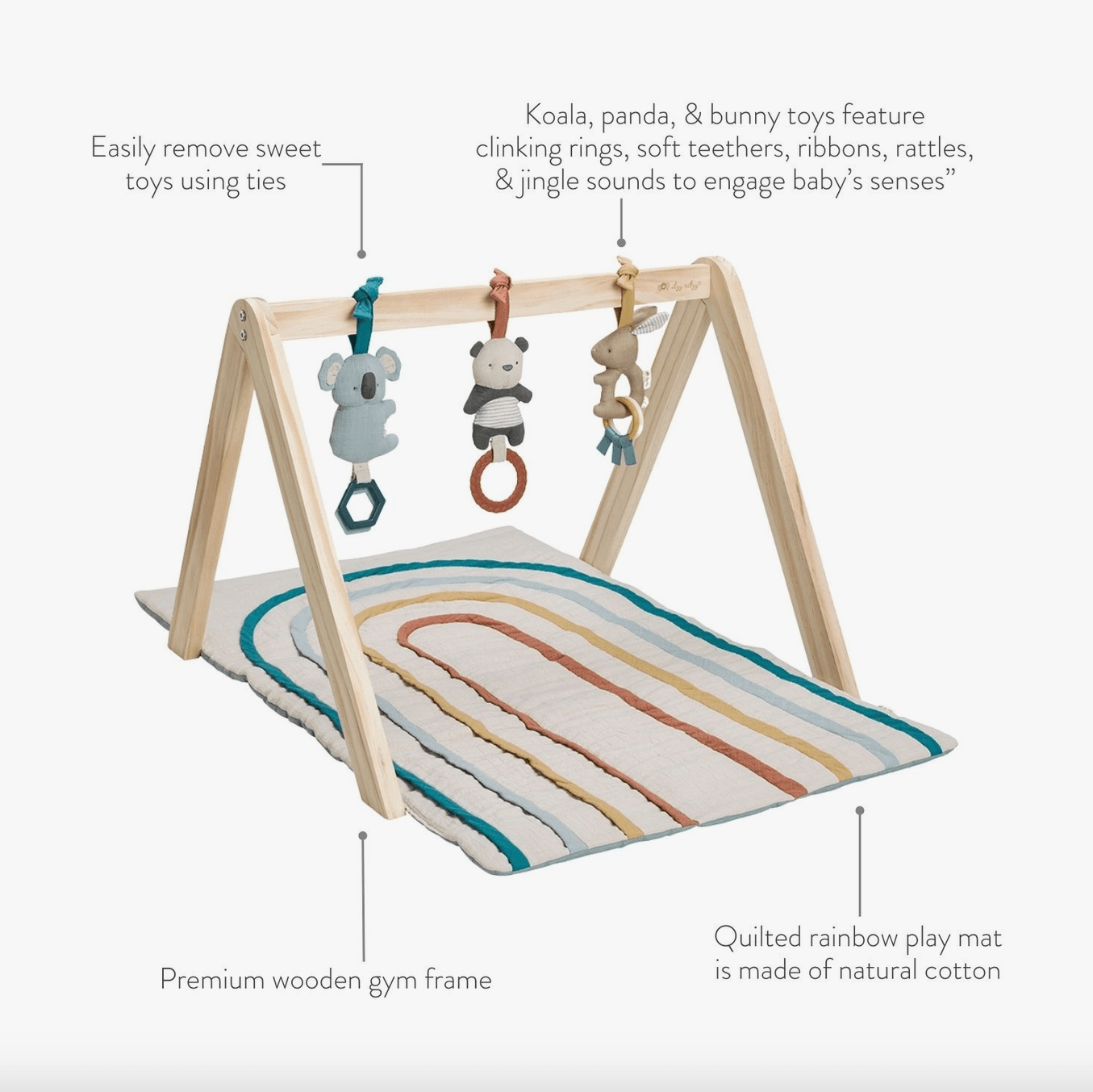 Activity Gym (Pastel) baby essentials Maple & Co. Boutique