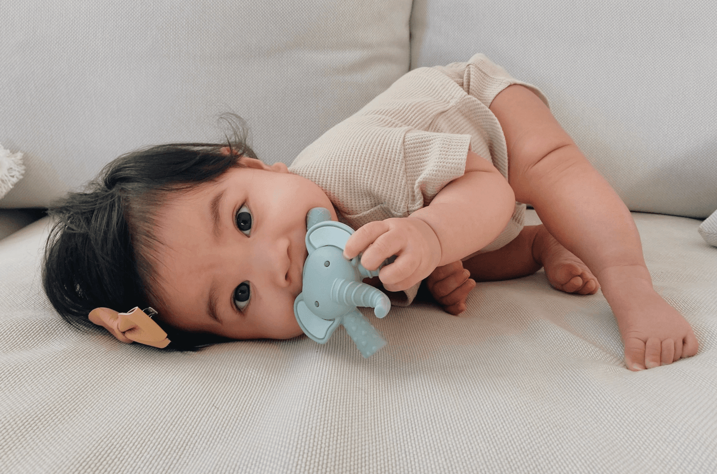 Baby Molar Teether teether Maple & Co. Boutique