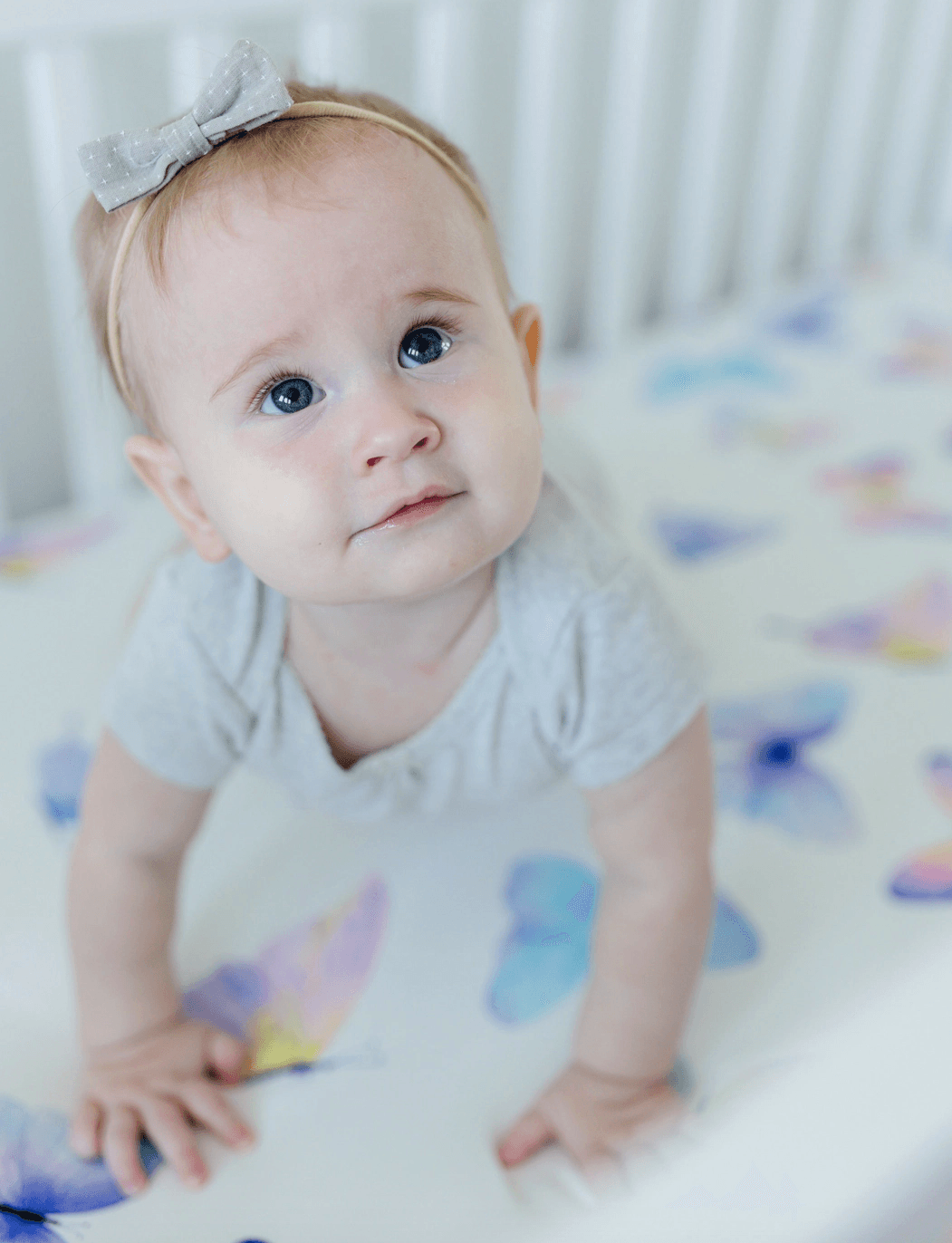 Butterfly Crib Sheet Nursery Maple & Co. Boutique