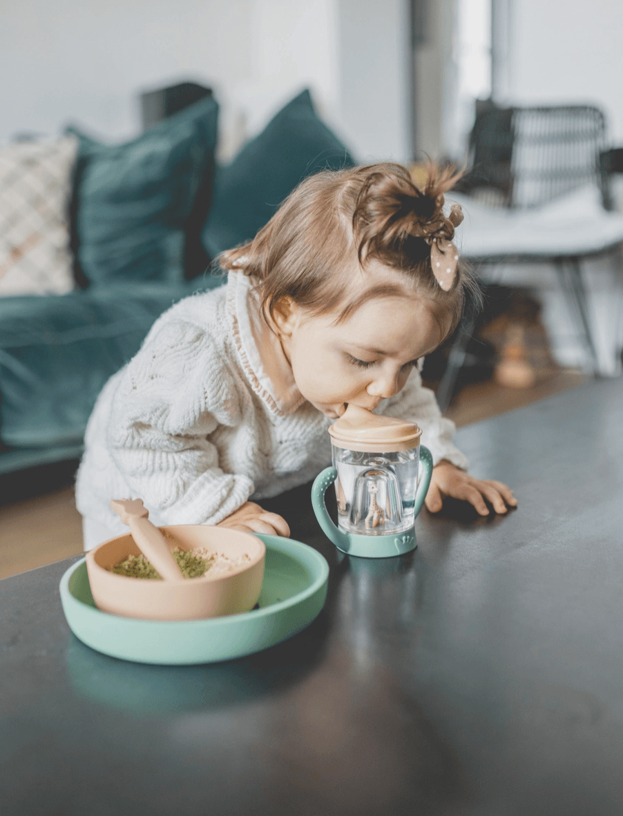 Non-Slip Cup feeding Maple & Co. Boutique