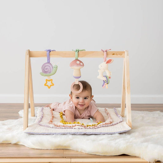 Activity Gym (Pastel) baby essentials Maple & Co. Boutique