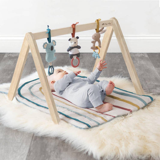 Activity Gym (Rainbow) baby essentials Maple & Co. Boutique